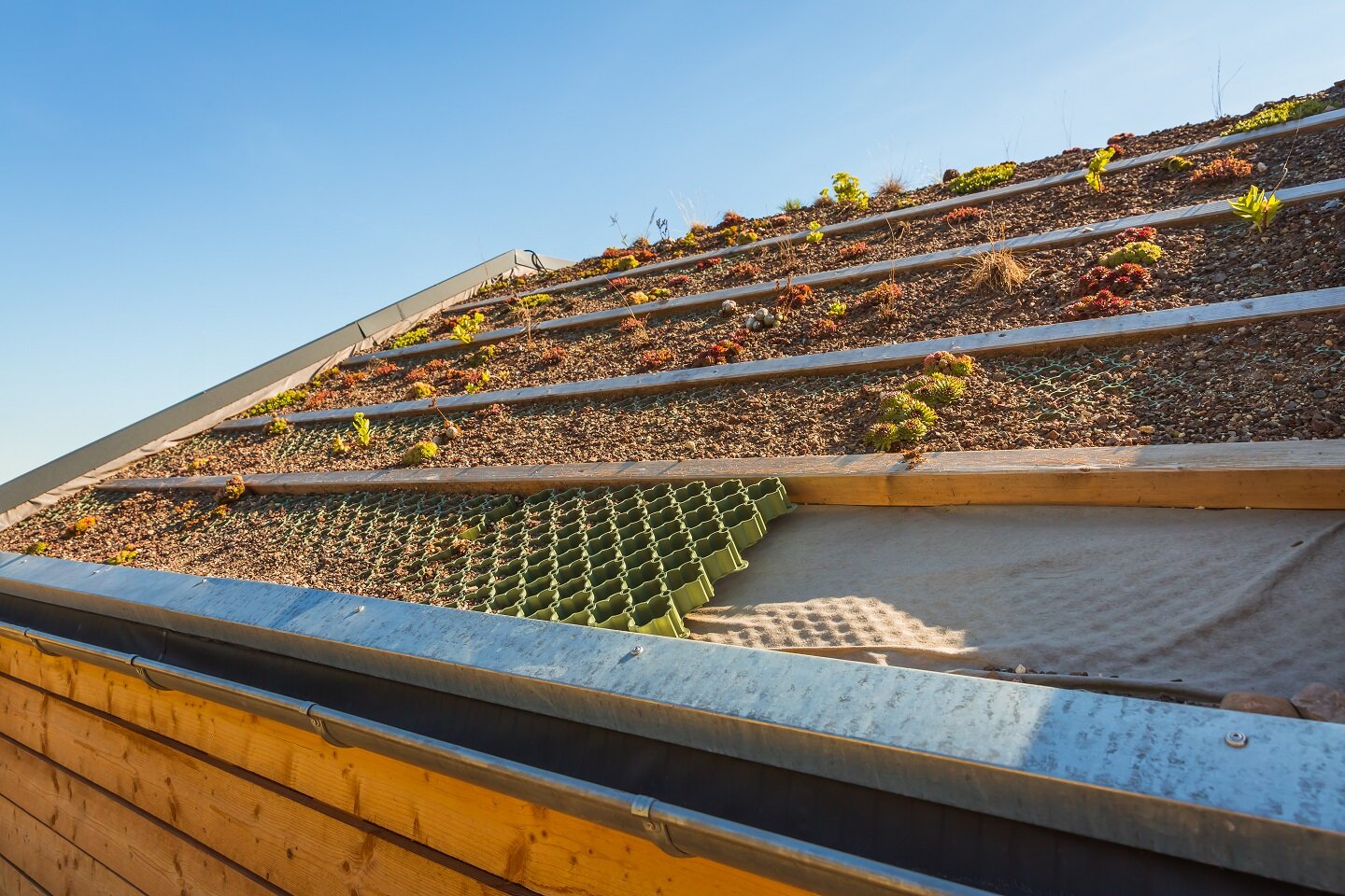 Vielfältige Dachbegrünung mit Sedumpflanzen und Struktur | © stock.adobe.com Begrüntes Dach auf modernem Gebäude mit Holzverkleidung | © stock.adobe.com
