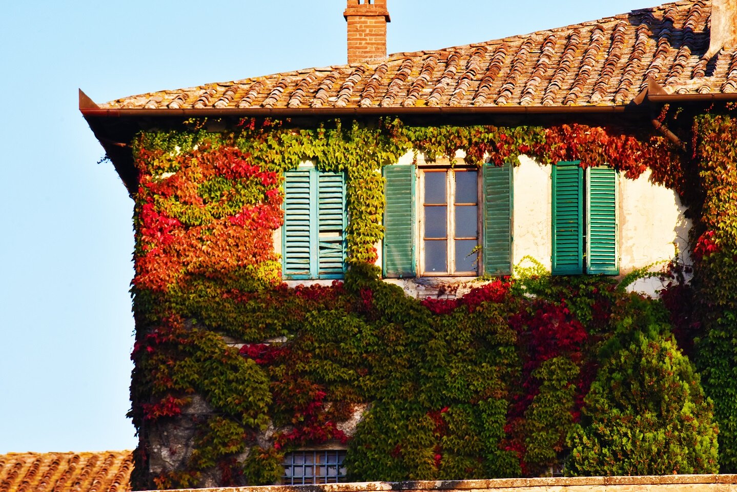Lebendige Fassadenbegrünung als natürlicher Sonnenschutz | © stock.adobe.com Hausfassade mit grün-rotem Bewuchs aus Rankpflanzen | © stock.adobe.com