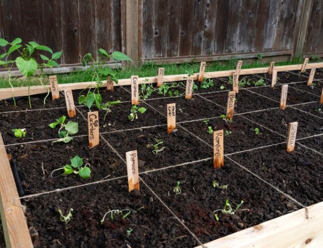 square_foot_gardening_gartentrends | © adobe.stock.com