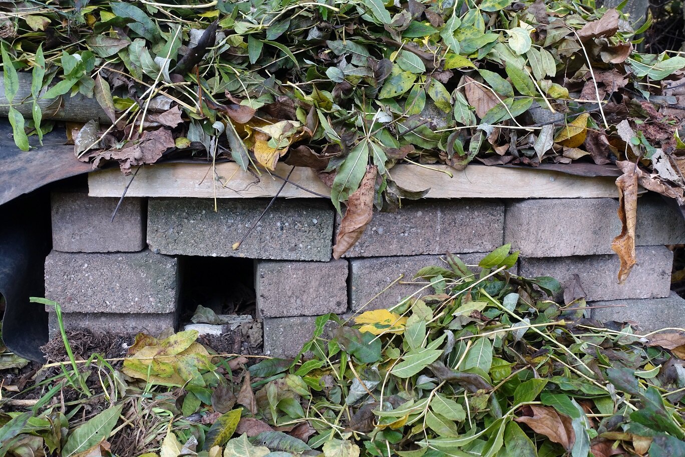 Igelhaus aus Ziegeln und Holz unter Laub versteckt | © stock.adobe.com