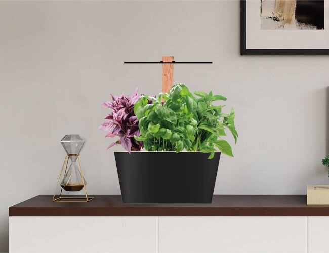 indoor_kraeutergarten_im_wohnraum | © www.outbay.de indoor_kraeutergarten_im_wohnraum | © www.outbay.de