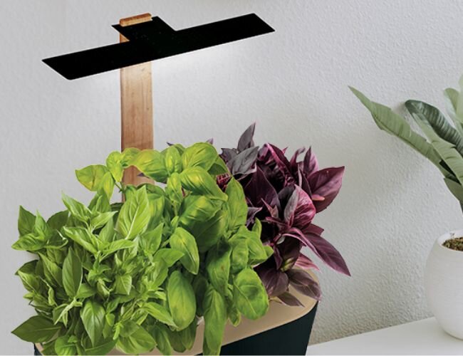 indoor_kraeutergarten_LED_beleuchtung | © www.outbay.de indoor_kraeutergarten_LED_beleuchtung | © www.outbay.de