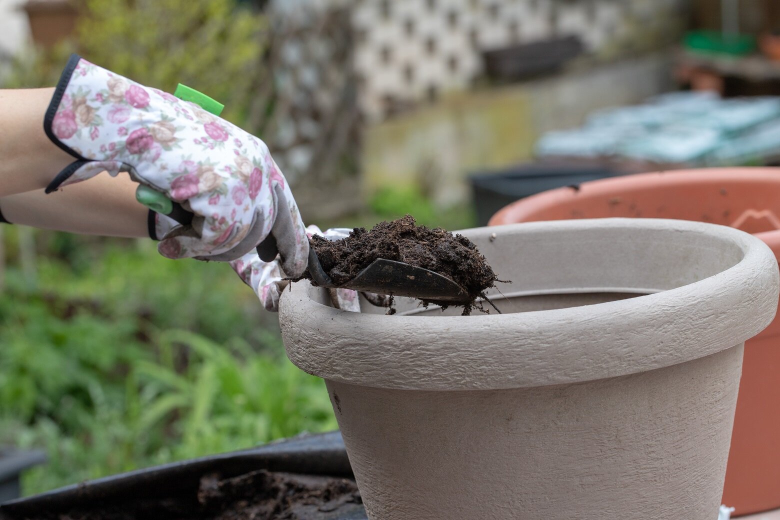 Frisch bepflanzter Topf mit Kräutern für Balkon oder Garten | © stock.adobe.com Blumentopf mit Erde und kleiner Pflanze neben einer Gießkanne | © stock.adobe.com