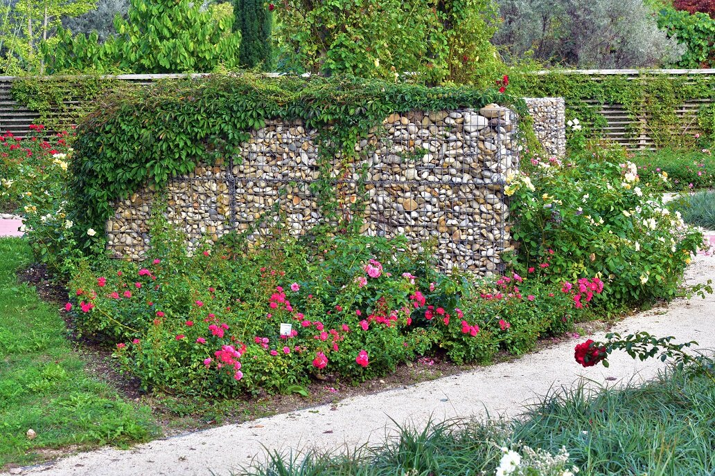 Wildblumen und Naturwiesen | © stock.adobe.com Biodiversität fördern mit heimischen Pflanzen | © stock.adobe.com