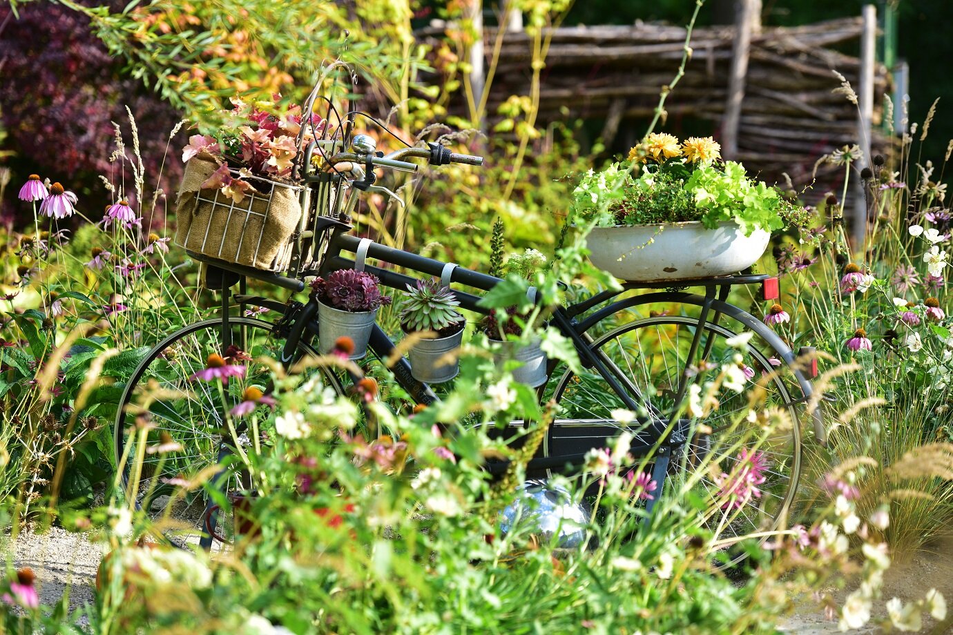 Nachhaltige Gartengestaltung | © stock.adobe.com Umweltfreundliche Konzepte für einen naturnahen Garten | © stock.adobe.com