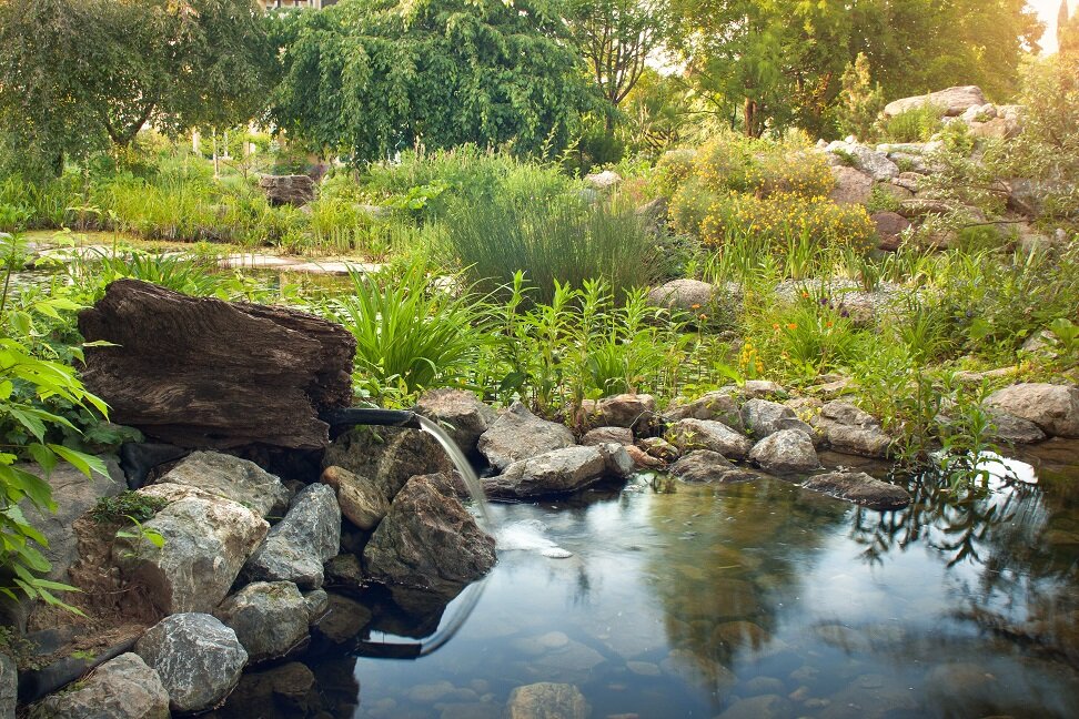 Pflege eines naturnahen Gartens | © stock.adobe.com Wenig Aufwand für eine natürliche und harmonische Umgebung | © stock.adobe.com