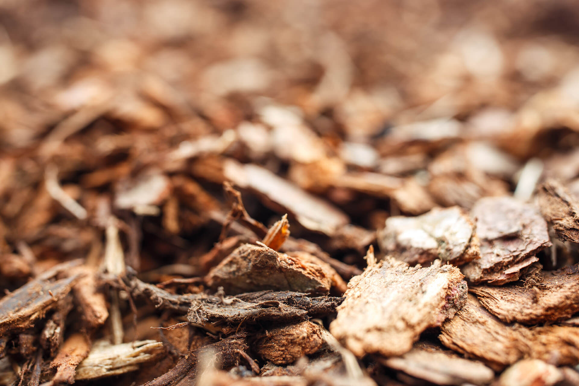 Natürlicher Bodenbelag zur Feuchtigkeitsspeicherung und Unkrauthemmung | © www.outbay.de Grobe Rindenmulchstücke in Nahaufnahme auf heller Fläche | © www.outbay.de