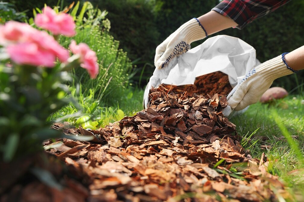Pflegeleichter Mulchauftrag zur Bodenabdeckung im Ziergarten | © stock.adobe.com Gärtner verteilt Rindenmulch um Blumenbeet mit Schaufel | © stock.adobe.com