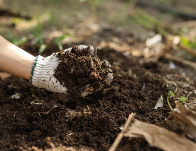 porree_kompostboden | © www.adobe.stock.de