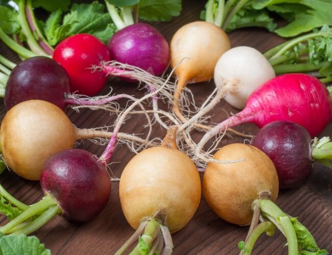 Radieschen unterschiedliche Sorten | © stock.adobe.com Radieschen unterschiedliche Sorten | © stock.adobe.com