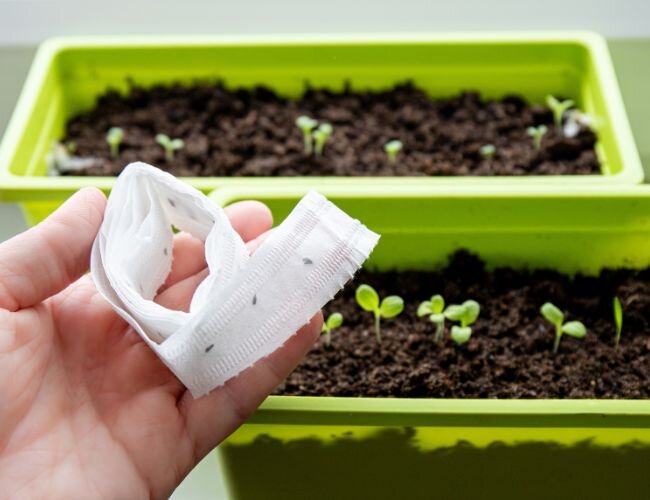 Saatband wird über einem Fensterbank-Beet positioniert | © stock.adobe.com