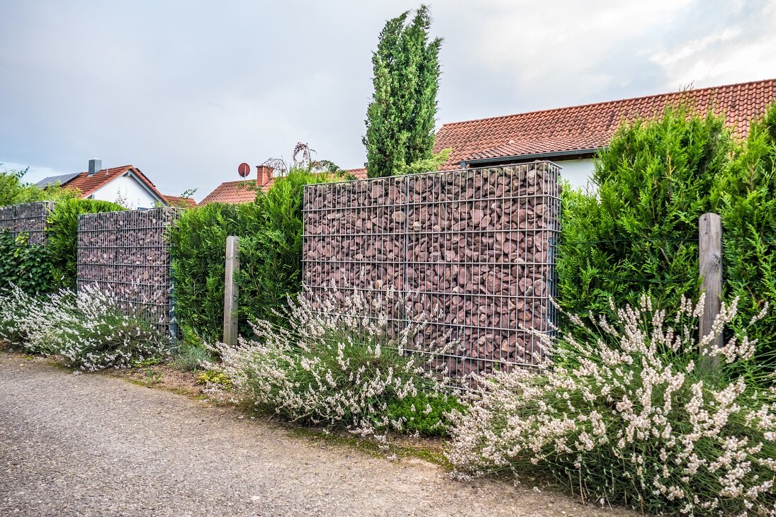 Harmonische Kombination für einen ästhetischen Gartenabschluss | © stock.adobe.com