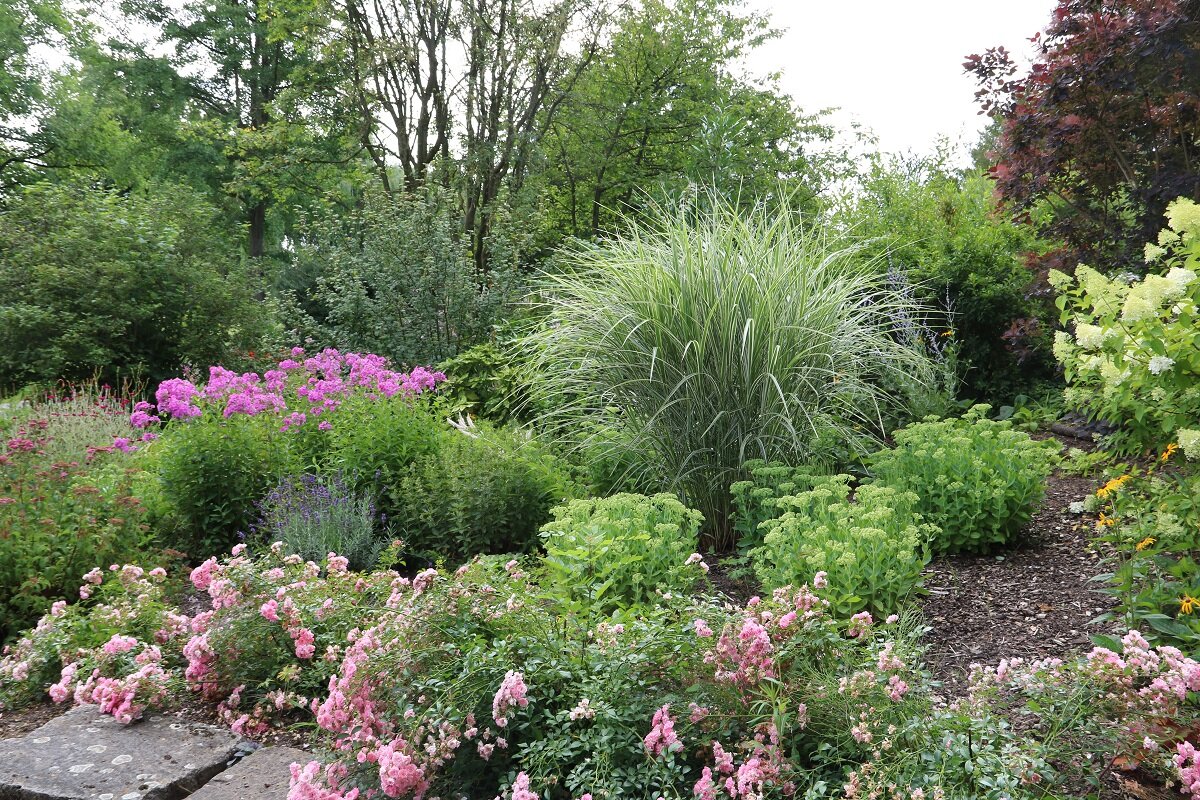 Farbenfrohe Kombinationen für einen lebendigen Garten | © stock.adobe.com