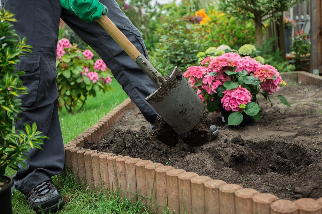 Robuste Pflanzen für einen nachhaltigen Garten | © stock.adobe.com