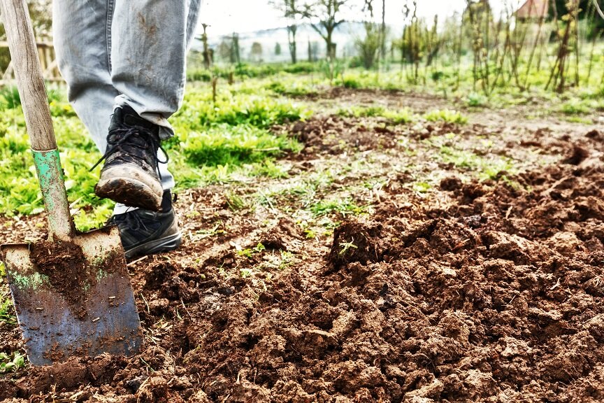 Effektive Lösungen gegen Staunässe im Garten | © stock.adobe.com