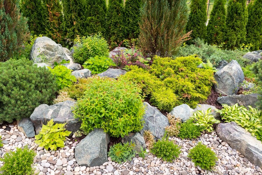 Steingarten bepflanzen | © stock.adobe.com Pflanzen und Steine harmonisch kombinieren | © stock.adobe.com
