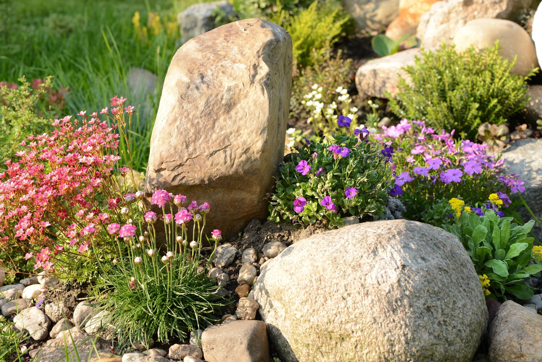 Steingarten selber machen | © stock.adobe.com Anleitung für das Anlegen eines Steingartens im Garten | © stock.adobe.com