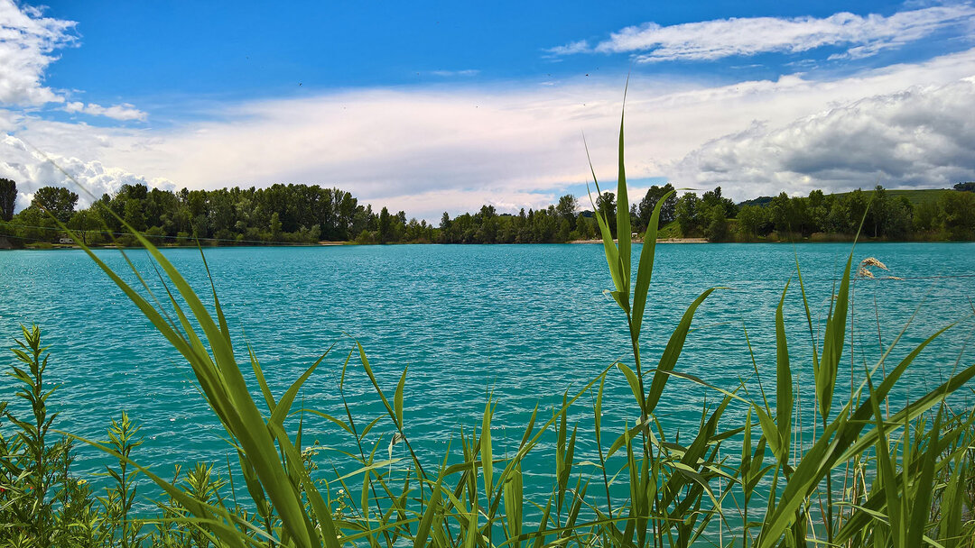 Ruhiger See mit Pflanzen im Vordergrund | © Outbay.de