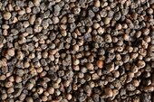 blähton_4_bis_8_mm_bigbag | © Outbay.de blähton_4_bis_8_mm_bigbag | © Outbay.de