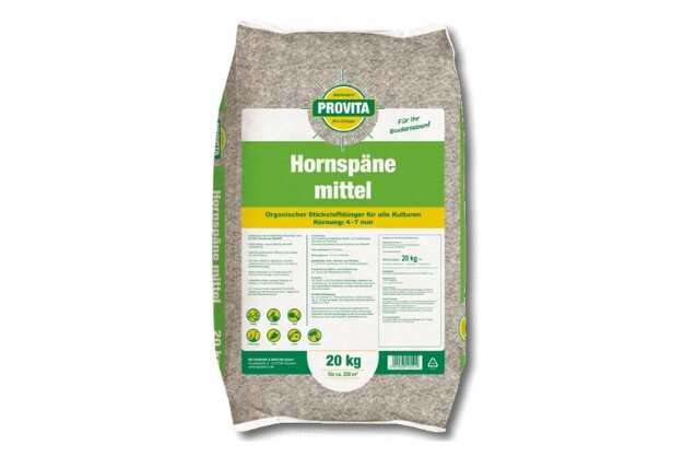 Hornspne