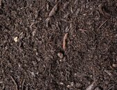 corthum_gartenkompost_lose | © outbay.de