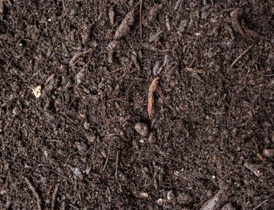 corthum_gartenkompost_lose | © outbay.de
