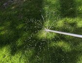 Rasenspecht Bodenlanze mit Wasser | © Rasenspecht