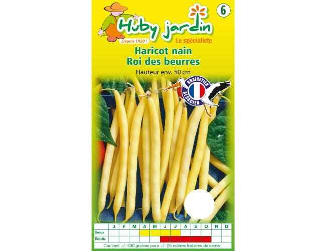 bio buschbohnensamen roi des beurres Samen Saatgut | © Graines Hubert