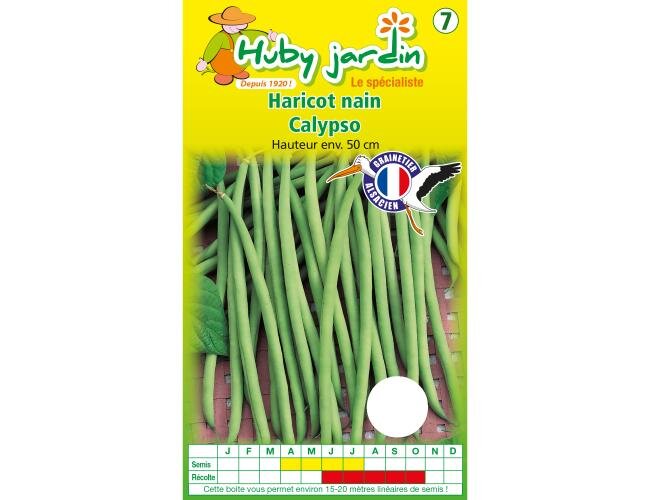 Buschbohnensamen Calypso Samen Saatgut | © Graines Hubert