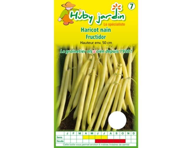 Buschbohnensamen Fructidor Pflanze Samen Saatgut | © Graines Hubert