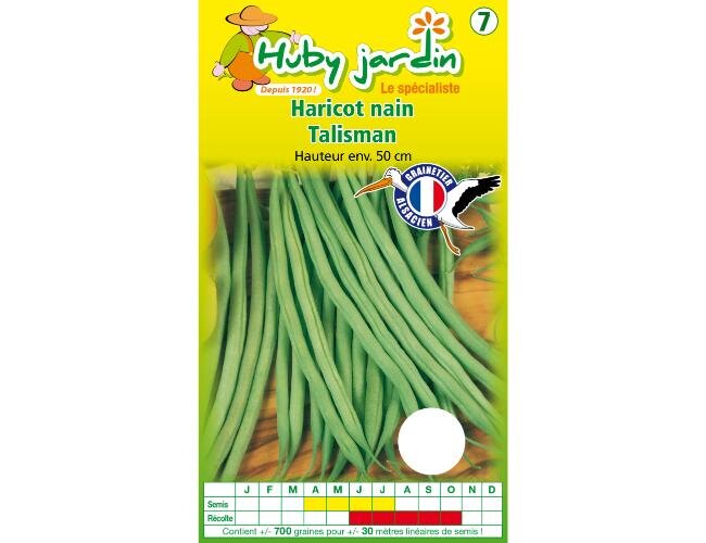 Buschbohnensamen Talismann Samen Saatgut | © Graines Hubert