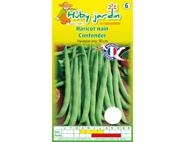 Bio Buschbohnensamen Contender Samen Saatgut | © Graines Hubert