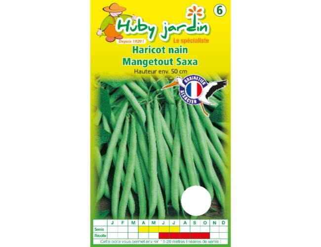 Bio Buschbohnensamen Saxa Samen Saatgut | © Graines Hubert