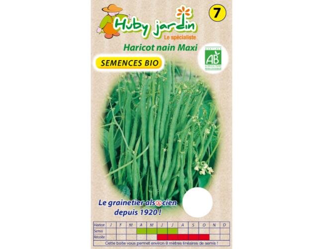 Bio Buschbohnensamen Maxi Samen Saatgut | © Graines Hubert