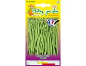 Buschbohnensamen Cogito Saatgut Samen | © Graines Hubert