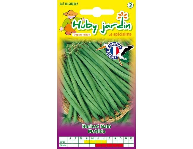 Stangenbohnen Matilda Saatgut Samen | © Graines Hubert