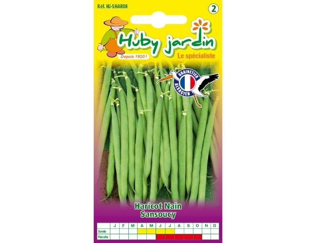 Buschbohnensamen Sansoucy Samen Saatgut | © Graines Hubert