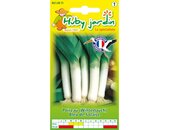 Lauch Saatgut samen | © Graines Hubert