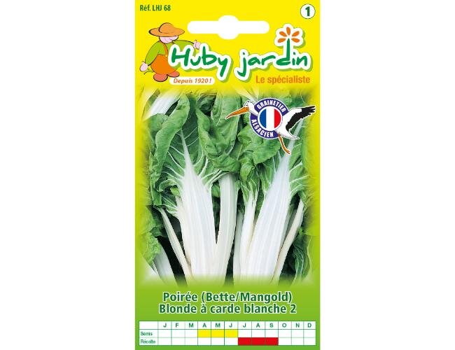 Mangold Saatgut Samen  | © Graines Hubert