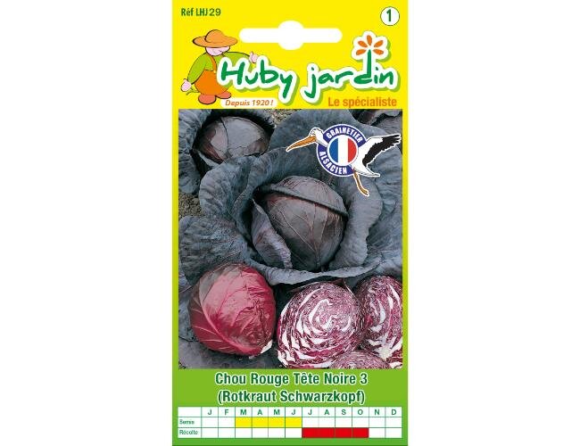 Rotkohl tete noire Schwarzkopf Saatgut samen | © Graines Hubert