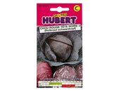 rotkohl_chou_rouge_samentuete | © www.outbay.de