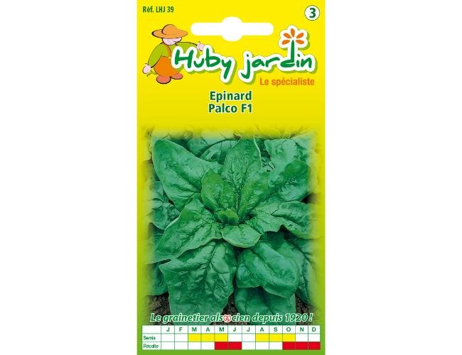 Spinat palco F1 Saatgut Samen | © Graines Hubert