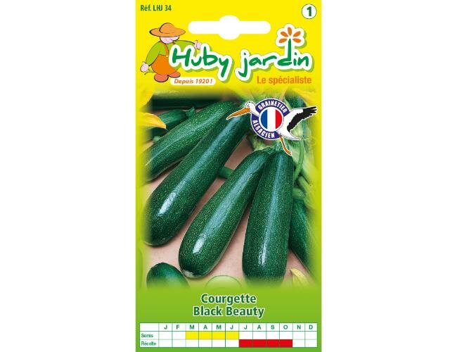Zucchini Black Beauty Saatgut Samen | © Graines Hubert