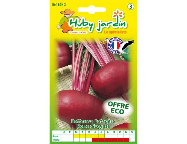 Rote Bete Noire d'Egypte Eco Samen Saatgut | © Graines Hubert