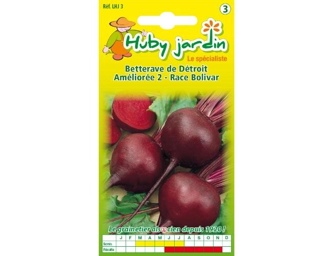 Rote Bete de Detroit Améliorée 2 Samen Saatgut | © Graines Hubert