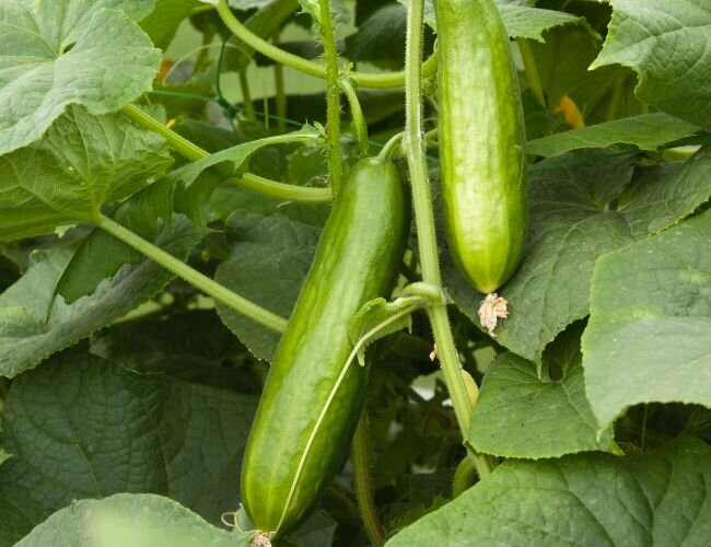 © stock.adobe.com © stock.adobe.com