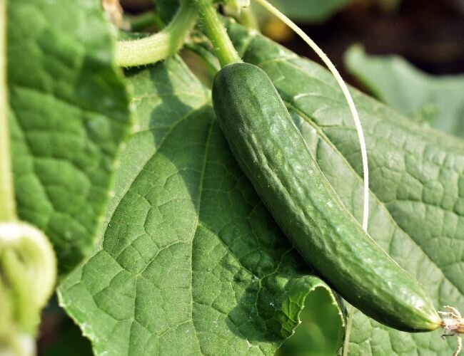 © stock.adobe.com © stock.adobe.com