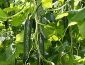 © stock.adobe.com © stock.adobe.com