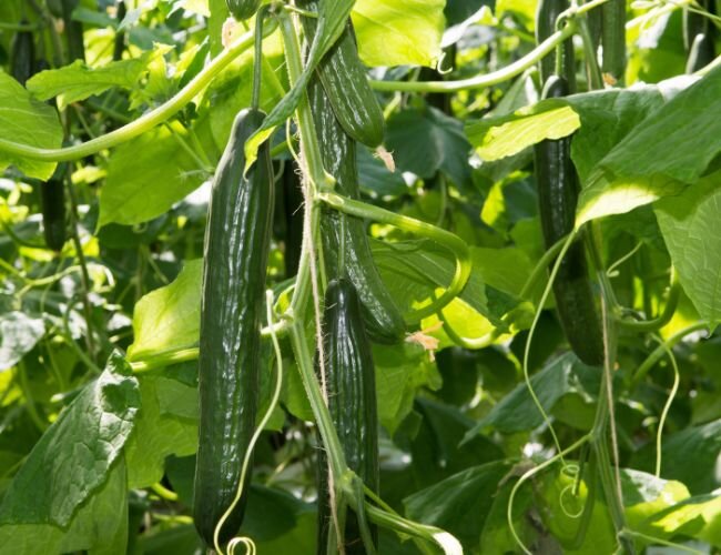 © stock.adobe.com © stock.adobe.com