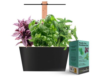 indoor_kraeutergarten_mit_basilikumsamen | © www.outbay.de